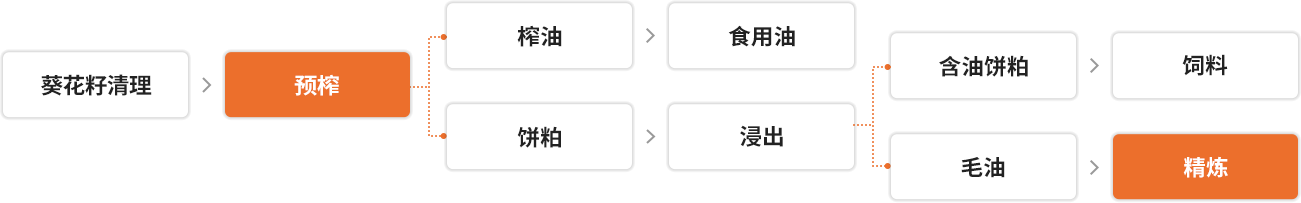 Sunflower Oil Processing Steps Flows